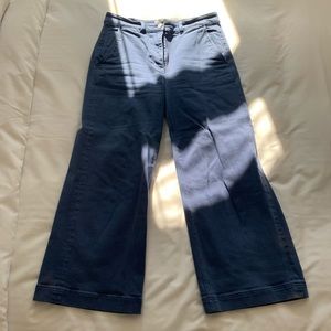 Everlane Wide Leg Crop Pant